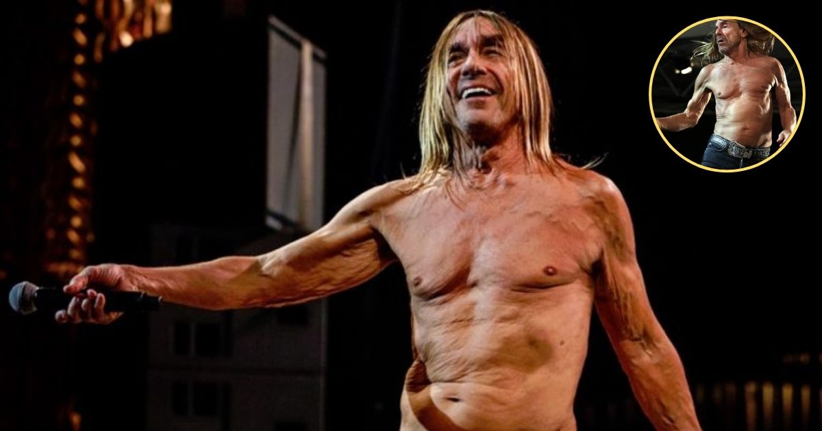 Iggy Pop's Career and Sources of Income