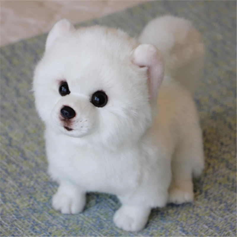 9 Kinds Dog Simulation Bichon Frise Plush Dog Toy Super Cute Likelife Corgi Dog Doll Stuffed Animal Maltese Dog Puppy Pets Toys - Image 10