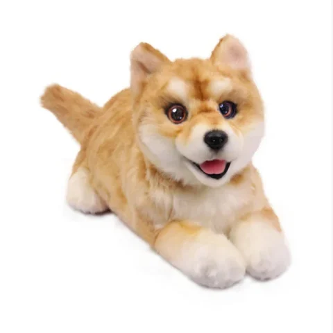 MetaDog AI-Powered Robot Dog Companion Toy-Battery Operated Chassis Kit From Elephant Robotics