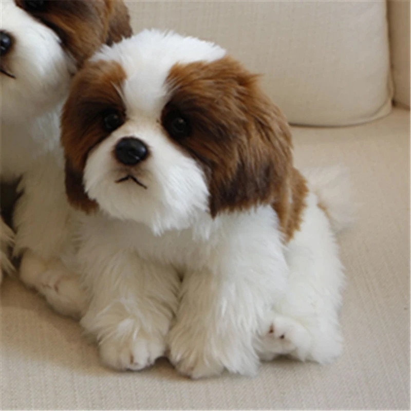 9 Kinds Dog Simulation Bichon Frise Plush Dog Toy Super Cute Likelife Corgi Dog Doll Stuffed Animal Maltese Dog Puppy Pets Toys - Image 15