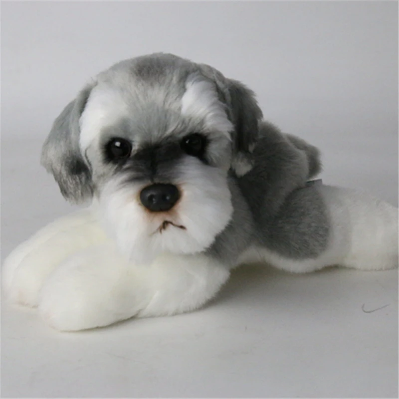 9 Kinds Dog Simulation Bichon Frise Plush Dog Toy Super Cute Likelife Corgi Dog Doll Stuffed Animal Maltese Dog Puppy Pets Toys - Image 11