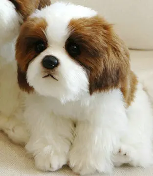 High Quality Simulation Bichon Frise Dog Plush toy Stuffed Korea Lifelike Pomeranian Dog puppy Toys Home Decor Kids brithday - Image 13
