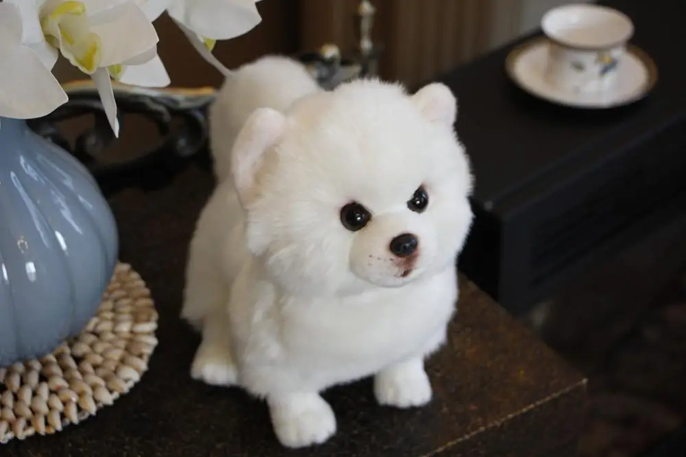 High Quality Simulation Bichon Frise Dog Plush toy Stuffed Korea Lifelike Pomeranian Dog puppy Toys Home Decor Kids brithday - Image 15