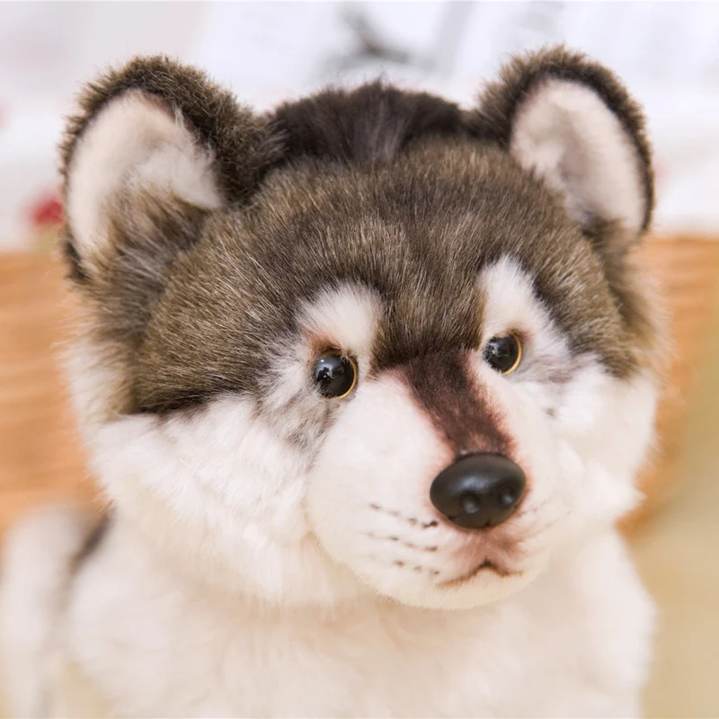 38CM Cute Simulation Wolf Plush Toys Wolf Dog Kids Dolls Lifelike Stuffed Pet Soft Anime Decor Collection Toys For Children Kids - Image 5