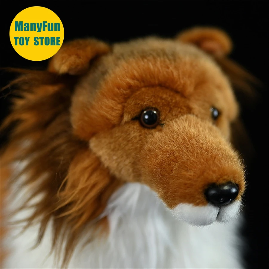Sheltie Dog Plush Toy – Realistic Shetland Sheepdog Stuffed Animal, Soft Rough Collie Plush Doll - Image 4