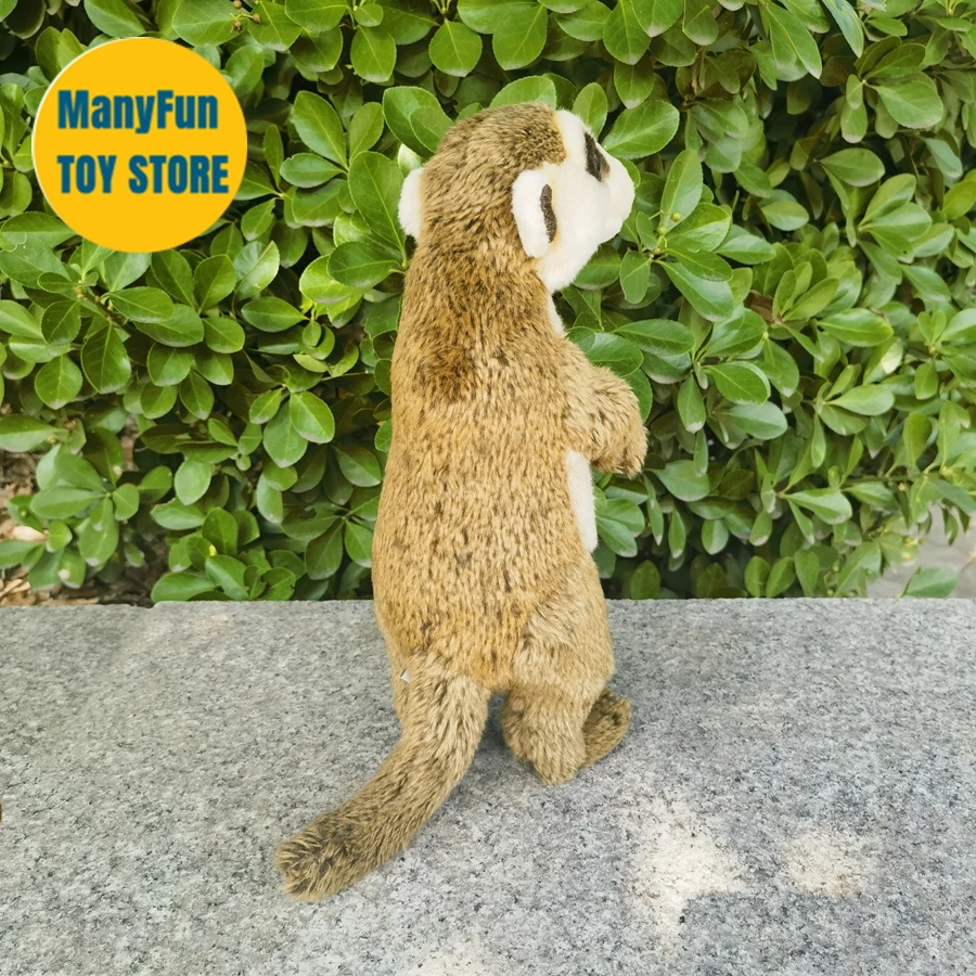 Realistic Meerkat Plush Toy – Soft Stuffed Animal, Lifelike Suricate Plushie & Kids Gift - Image 5