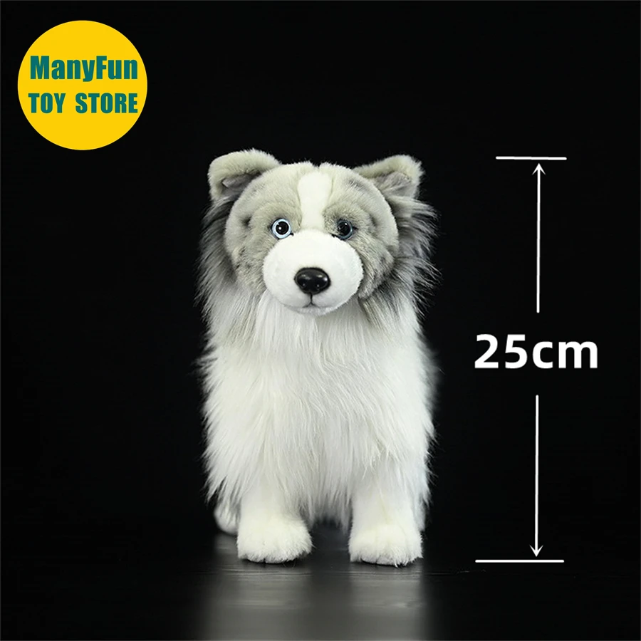 Sheltie Dog Plush Toy – Realistic Shetland Sheepdog Stuffed Animal, Soft Rough Collie Plush Doll - Image 7