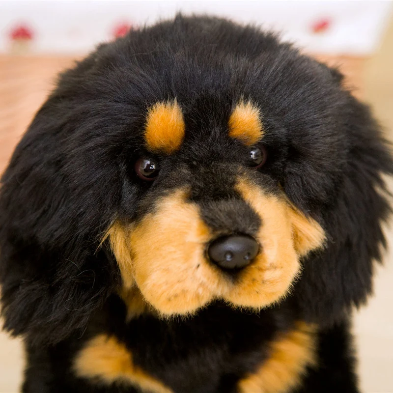 Lovely Simulation Dog Plush Toys Tibetan Mastiff Kids Dolls Lifelike Stuffed Pet Toy Soft Shop Decoration Toys For Children Boy - Image 3