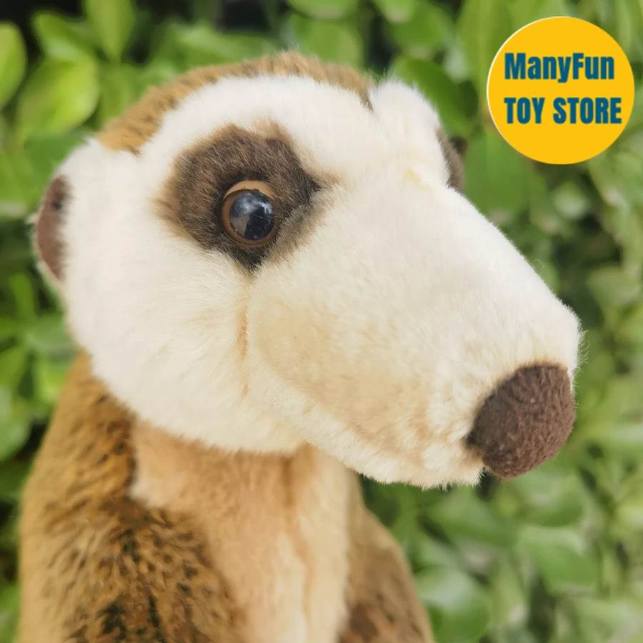 Realistic Meerkat Plush Toy – Soft Stuffed Animal, Lifelike Suricate Plushie & Kids Gift - Image 2