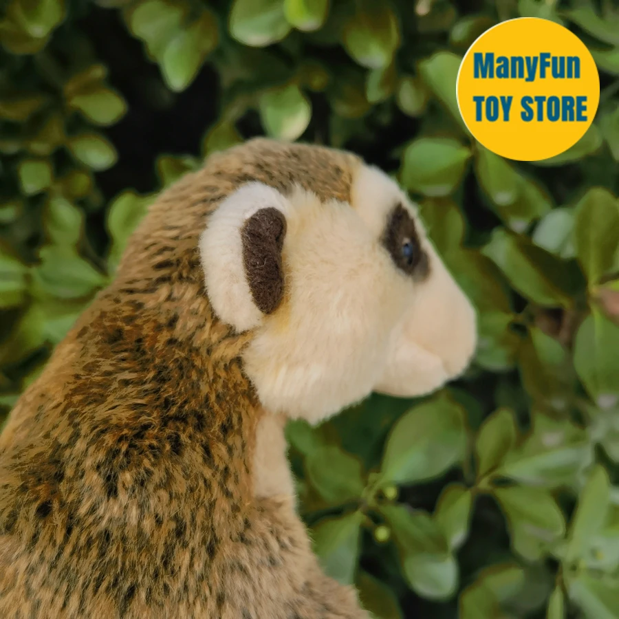 Realistic Meerkat Plush Toy – Soft Stuffed Animal, Lifelike Suricate Plushie & Kids Gift - Image 6